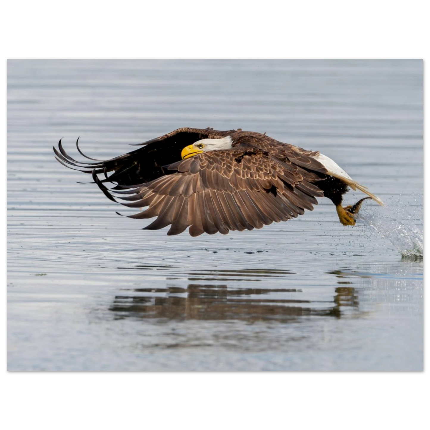 8fe3058b-a52e-43a4-8181-c943fdc564a2