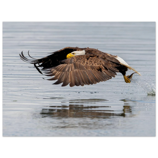 8fe3058b-a52e-43a4-8181-c943fdc564a2