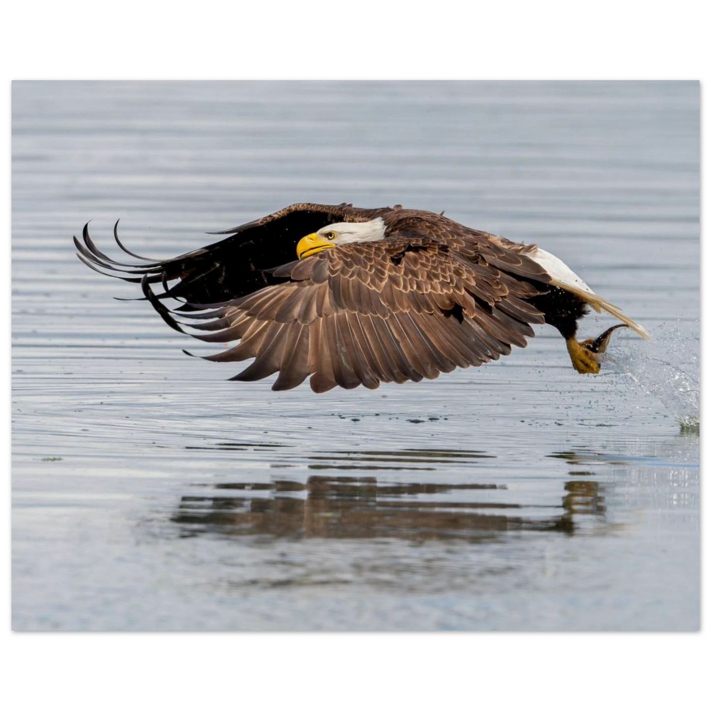 c538b5c4-757a-4d18-85a4-dae1e1552ae4