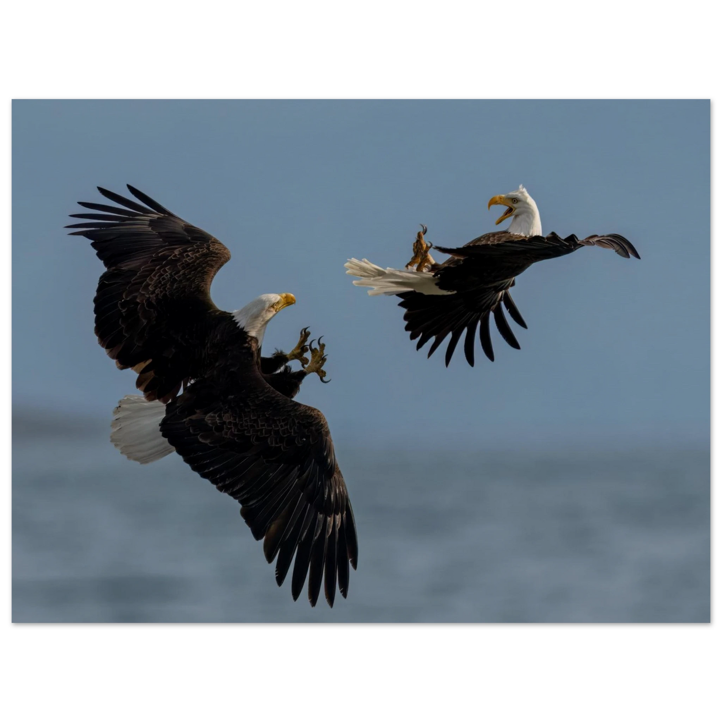 f574450a-4747-4375-906f-175b127e19e2